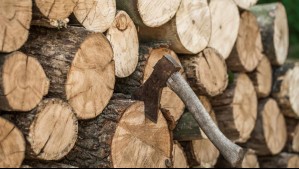 ¿Necesitas comprar leña o pellet de cara al invierno? Así puedes saber dónde están los precios más convenientes