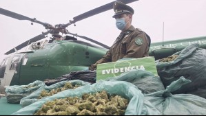 Carabineros decomisa más de 800 kilos de marihuana en la zona cordillerana de la región de Coquimbo