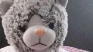 'Después de una larga negociación': Familia ofreció recompensa por peluche de niño con TEA y terminó siendo víctima de extorsión