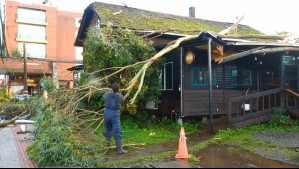 Tornado deja 250 viviendas dañadas, 19 lesionados y más de 4 mil clientes sin luz en Puerto Varas