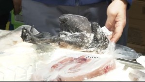 Clausuran supermercado chino en Meiggs: Vendían carne de tortugas, patos y anguilas pese a prohibición de funcionamiento
