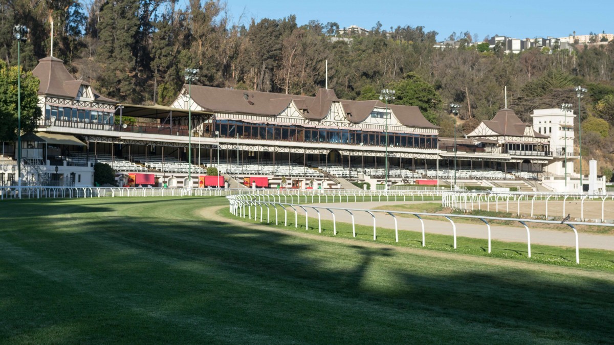 Conmoción en Valparaíso por muerte de cuidador de caballos en pleno entrenamiento del Sporting Club: Tenía 63 años