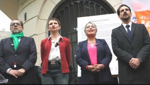 Primarias presidenciales: Este viernes comienza oficialmente el periodo de campaña electoral