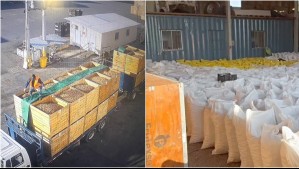 Carabineros recupera camión robado con 25 mil kilos de nueces en Paine: Detuvieron a 13 personas