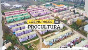 Los murales de ProCultura: Investigan nexos entre obras de la fundación y financiamiento a campañas políticas
