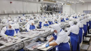 Acuerdan distribución de 45% para artesanales y 55% para industriales en merluza común: PacificBlu canceló cierre de operaciones