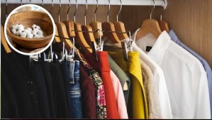 El truco de poner algodón en el clóset que es ideal para proteger la ropa en invierno