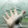 Revisa cuáles son las 5 fáciles técnicas para evitar que se empañen los vidrios de tu automóvil. Esto suele ocurrir en épocas más frías, como el otoño e invierno.