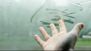 Con shampoo o detergente: 5 fáciles técnicas para evitar que se empañen los vidrios de tu auto