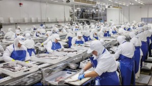 A tan solo semanas de haber anunciado su cierre: La razón por la que pesquera industrial echó pie atrás y seguirá operando