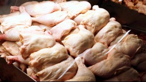 Gigante empresa chilena queda fuera de millonaria licitación estatal: Busca revertir medida 'arbitraria' causada por error digital