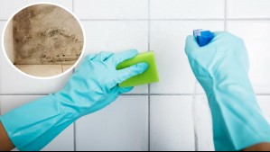 ¿Manchas de humedad en tu baño? 5 formas efectivas de eliminarlas