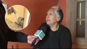 'Está toda la casa dañada': Adulta mayor vive sola y pide ayuda para reparar su vivienda afectada en fuerte temblor de Atacama