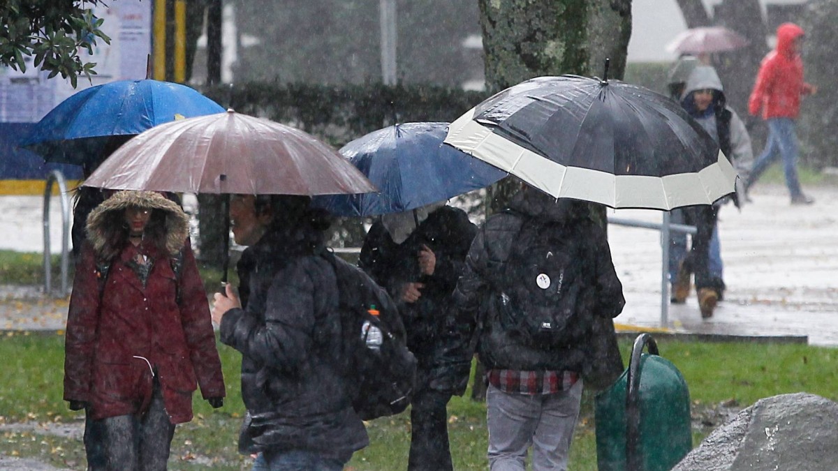 Pronostican lluvias y ráfagas de vientos de hasta 50 km/h: Revisa las zonas en las que caerían precipitaciones