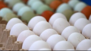 Preocupante alza del precio del huevo: ¿Cuándo comenzaría a bajar?