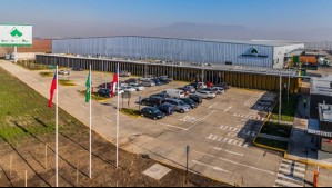 Histórica papelera chilena en quiebra es acusada de entregar información 'falsa, incompleta y con serias deficencias'