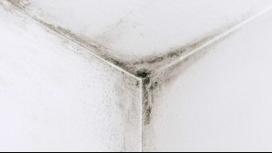 ¿Cómo eliminar y prevenir las manchas de humedad en las paredes? Este simple ingrediente puede ser crucial