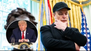 'Fueron demasiado lejos': Elon Musk da un paso atrás en sus críticas a Donald Trump