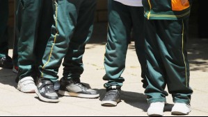 Perro ingresó a colegio de Limache y mordió a cuatro menores dentro de una sala de clases