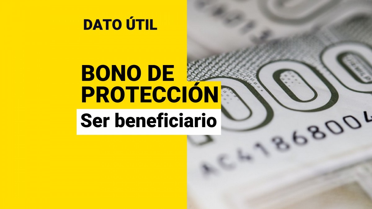 Bono de Protección: Entérate cómo puedes acceder al beneficio para dueñas de casa