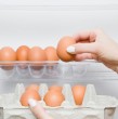 Descubre cuál es el lugar ideal para conservar los huevos y evitar que se echen a perder. La nutricionista Beatriz González explica por qué es mejor guardarlos en el refrigerador y cómo mantenerlos frescos por más tiempo.