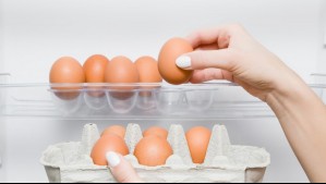 ¿Dentro o fuera del refrigerador? Así debes guardar los huevos según una experta