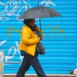 Revisa las zonas en las que se esperan precipitaciones para este lunes 16 de junio, de acuerdo al pronóstico entregado en el reporte de la Dirección Meteorológica de Chile.