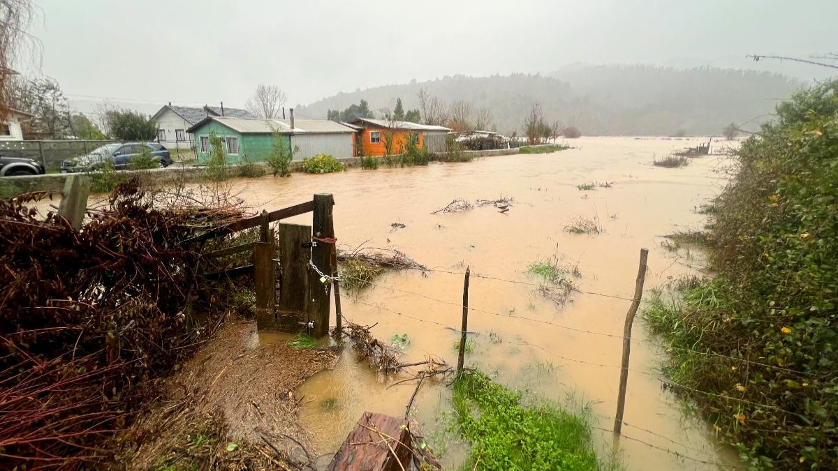 Senapred solicita evacuar sectores de la comuna de Arauco por desborde de Río Pichilo: Se activó alerta SAE
