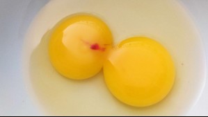 ¿Manchas rojas en los huevos? Conoce qué significan y si son peligrosas para la salud