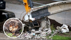 Mujer se electrocuta tras caída de un poste sobre su casa en La Florida