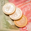 El Instituto de Previsión Social (IPS) abrió el proceso de solicitud para la Pensión Garantizada Universal (PGU) de $250 mil a un grupo importante de la población. Conoce quiénes ya pueden postular al beneficio con el nuevo monto.
