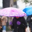 Conoce detalles sobre el pronóstico de lluvia para dos días de la próxima semana en Santiago. La proyección fue realizada por un prestigioso centro meteorológico noruego.