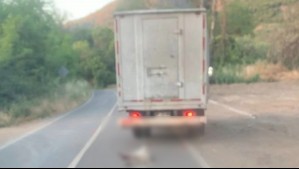 Amarraron a un perrito a un camión y emprendieron la marcha: Los condernaron y no podrán tener animales