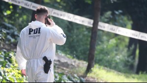 Llegó a Chile la semana pasada: Buscan a adulto mayor extraviado hace seis días en Parque Nacional Puyehue