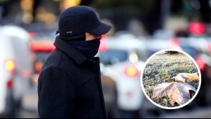 El otoño llega a su fin: El momento exacto en que ocurrirá el solsticio de invierno en junio de 2025