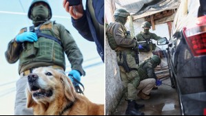 Incautaron más de $14 millones y diversa cantidad de drogas: Carabineros realizó importante operativo en Peñaflor y Talagante