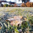 La DMC emitió un aviso por heladas normales a moderadas para zonas de cuatro regiones del país, el que estará vigente desde la madrugada del lunes 23 de junio hasta la mañana de la misma jornada. ¡Detalles!