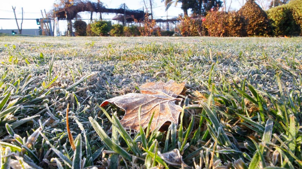 Hasta -4° C: Meteorología emite aviso por heladas para zonas de cuatro regiones del país