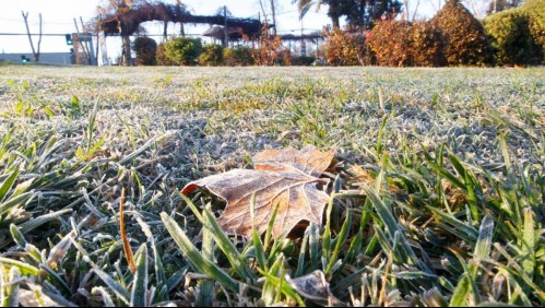 Hasta -4° C: Meteorología emite aviso por heladas para zonas de cuatro regiones del país Hasta -4° C: Meteorología emite aviso por heladas para zonas de cuatro regiones del país