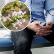 El cáncer de próstata es uno de los más comunes a nivel mundial. Ahora, un hallazgo científico apunta a un posible aliado en la lucha contra esta enfermedad. Conoce qué indica el estudio realizado por chilenos e italianos.