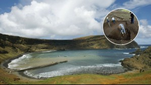 Explorador estadounidense insiste en excavar en Parque Nacional Juan Fernández: ¿Qué tesoro está buscando?