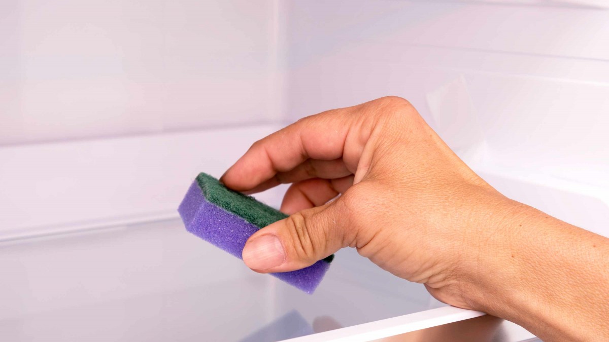 El desconocido truco de la esponja húmeda: ¿Para qué sirve dejarla dentro del freezer?