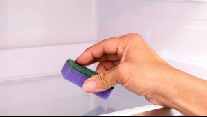 El desconocido truco de la esponja húmeda: ¿Para qué sirve dejarla dentro del freezer?