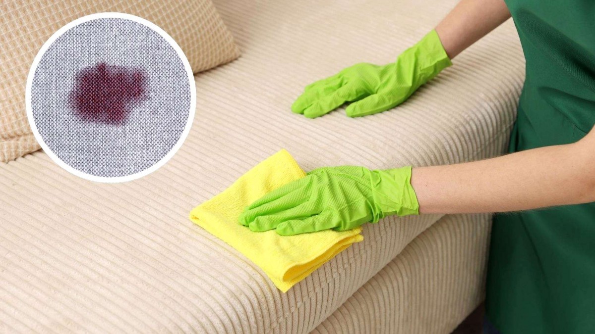 Adiós, manchas: Estos son 8 trucos caseros que puedes usar para limpiar tu sillón