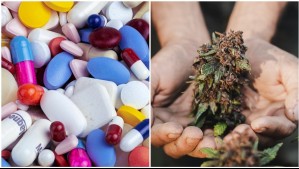 La ONU posiciona a Chile entre los países con mayor consumo de marihuana y éxtasis de Sudamérica: Conoce el puesto que ocupa