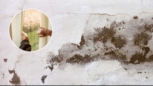 El sencillo truco alemán para evitar la humedad y el moho en las paredes