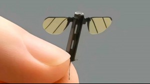 China revela 'mini dron espía': Diminuto dispositivo está diseñado para operativos militares secretos