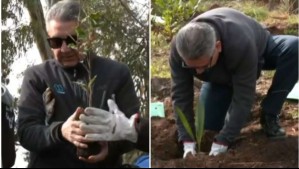 Viña 2025 cumplió su palabra: Comienza proceso de reforestación  de Viña del Mar con plantación de 400 árboles nativos