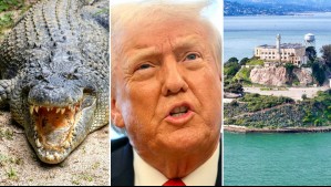 En un pantano rodeada de cocodrilos y pitones: Así será la nueva cárcel de Trump estilo 'Alcatraz' para recluir a migrantes