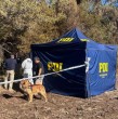 Durante la tarde de este sábado, la Fiscalía entregó detalles del cuerpo que fue encontrado al interior de un carro de supermercado en un sitio eriazo de la comuna de Hualpén. ¡Declaraciones!